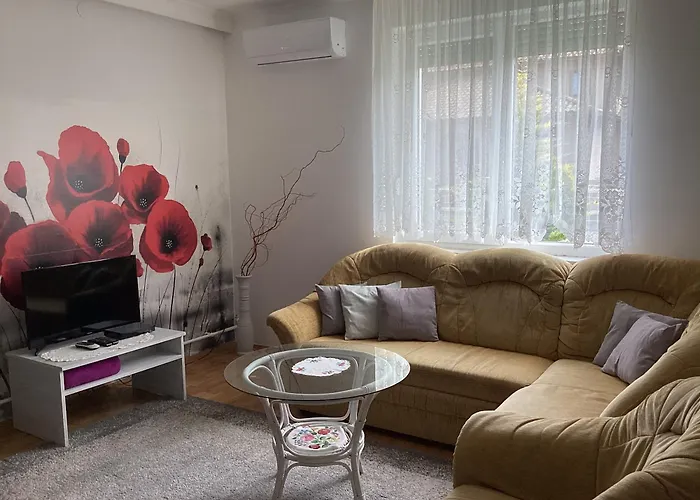 Süti Сasa de vacaciones